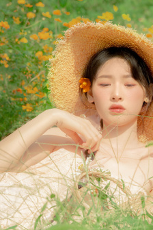 姐姐真漂亮5电视剧